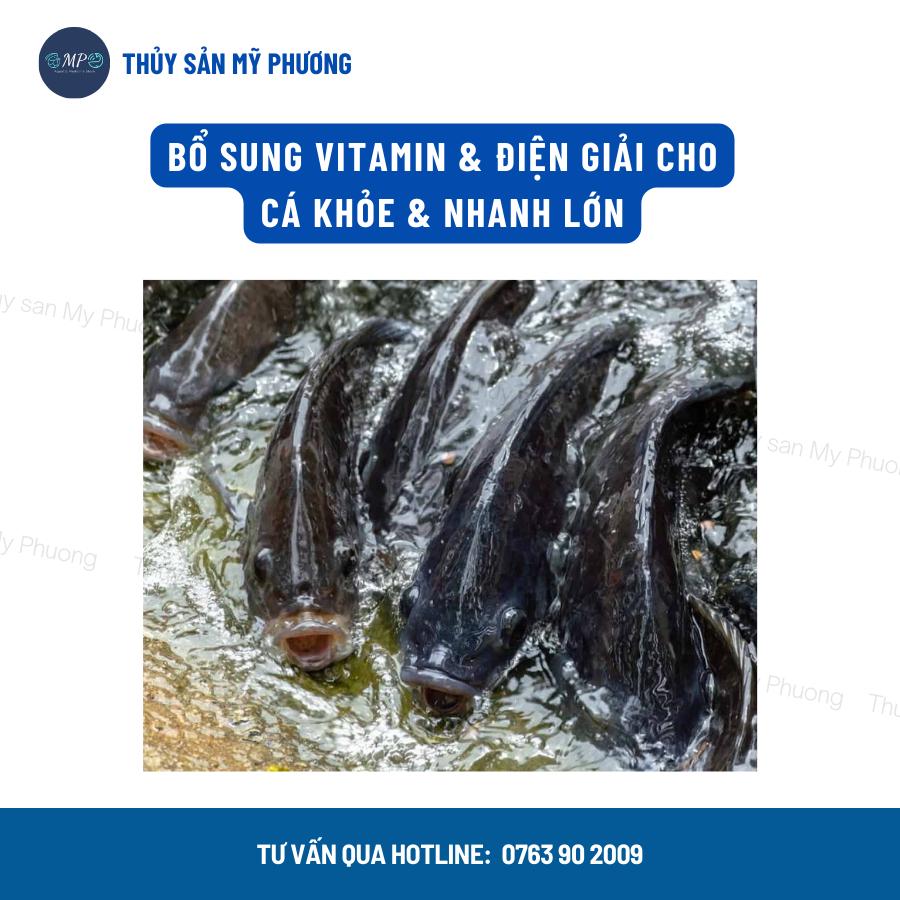 Chống sốc bổ sung vitamin điện giải khoáng Vitalec Fish Plus tăng sức đề kháng khỏe cho tôm thẻ cá lươn ếch ốc ba ba