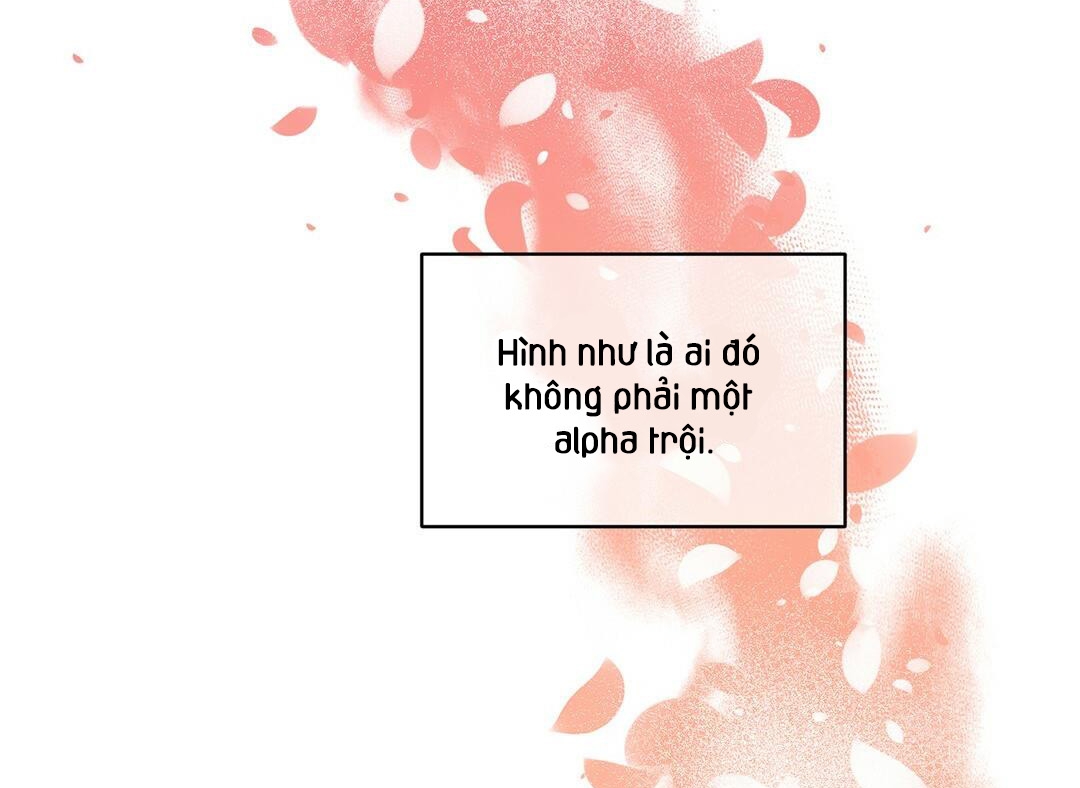 phức cảm tự ti của omega chapter 2 104