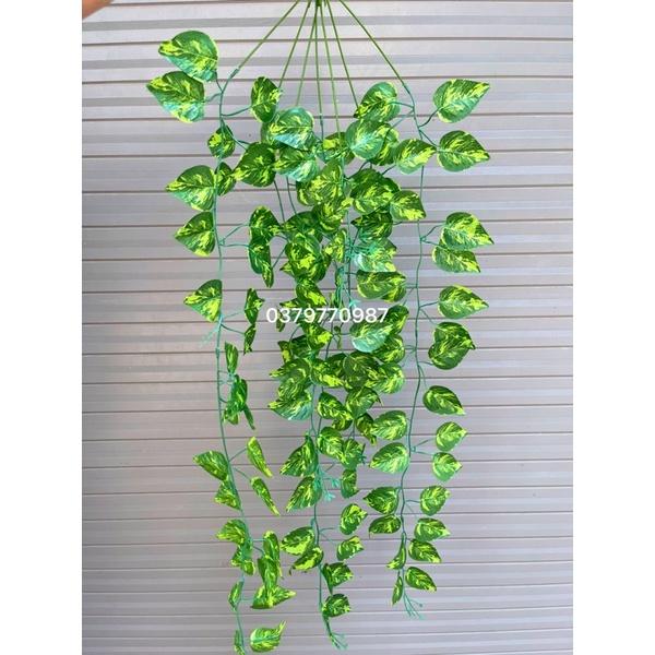 Dây Leo Trang Trí Dưa Hấu PVC 5.0