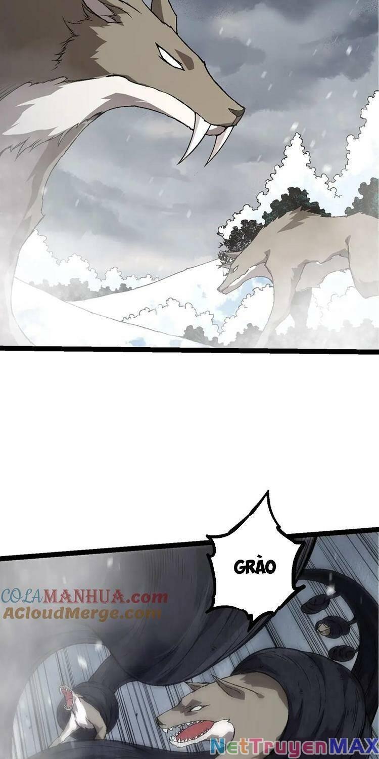 chuyển sinh thành liễu đột biến chapter 90 34