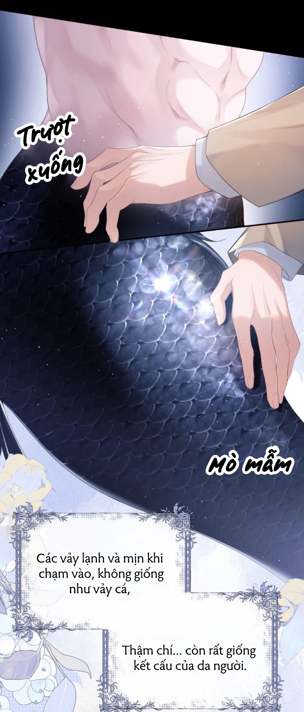 nhân ngư dessaro chapter 1 23