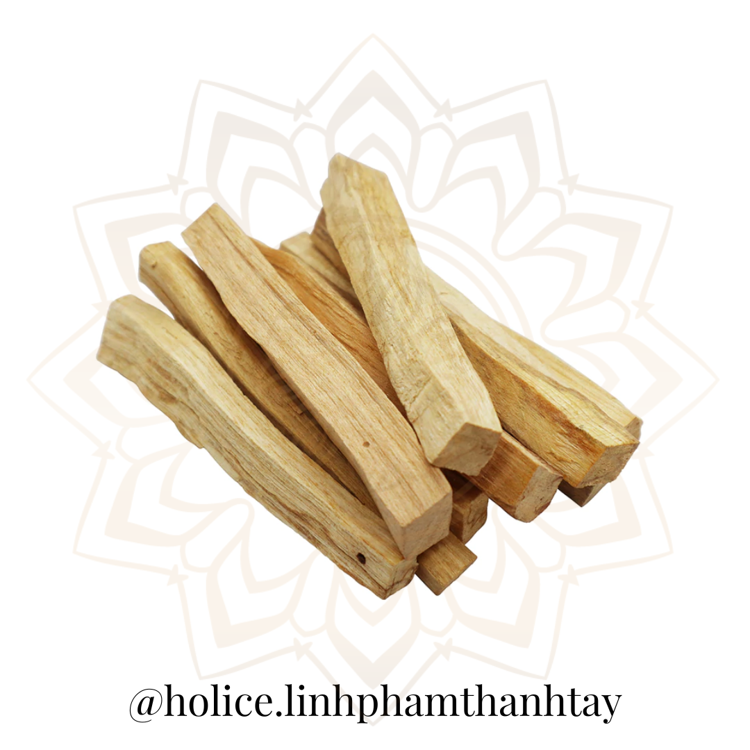 1 Que Gỗ Thánh Palo Santo Holice Thanh Tẩy Đồ Vật, Không Gian Sống, Tái Tạo Năng Lượng, Giảm Stress