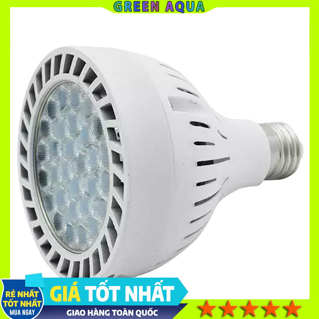 [BH 01 tháng] WEEK AQUA - LED Rainforest Spotlight (Y35) | Đèn rọi WRGB cho hồ bán cạn, thủy sinh, tiểu cảnh trang trí