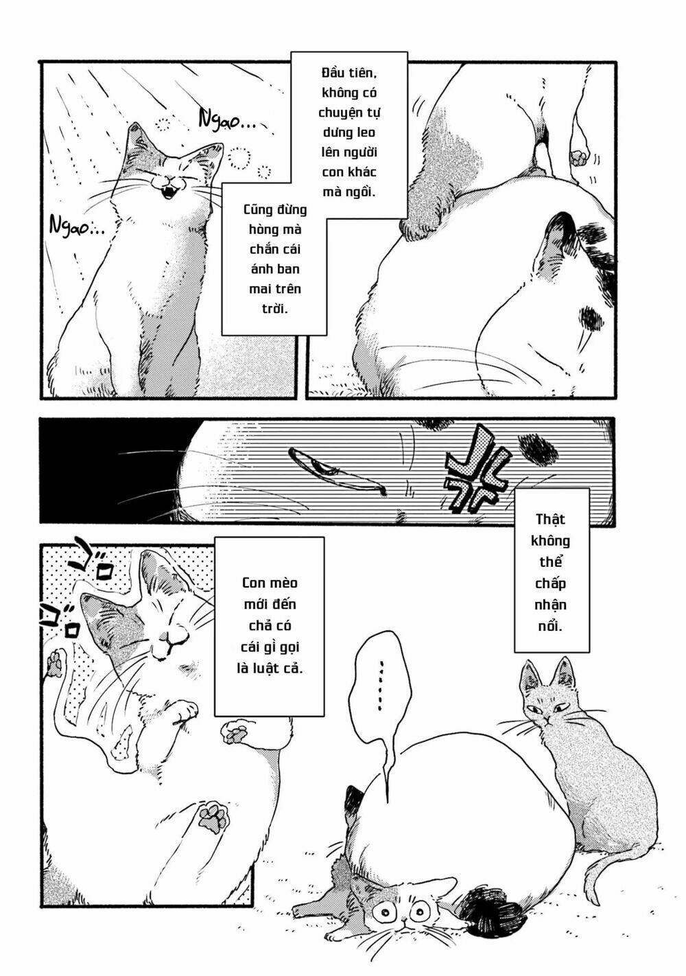 nekodamari chapter 3 2