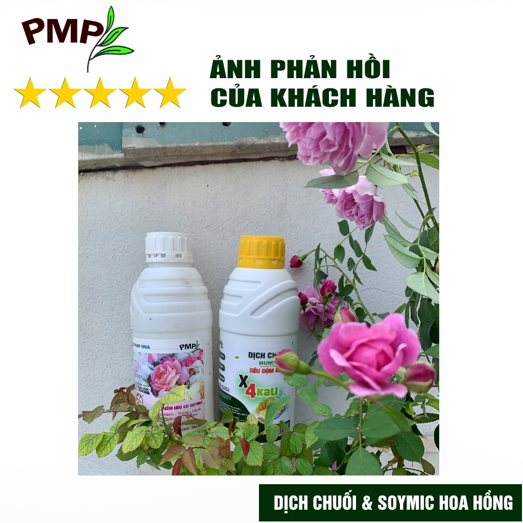 Phân Bón Hoa Hồng Combo Phân Đậu Nành Soymic - Dịch Chuối Humic ( 2 Chai x 1 L)