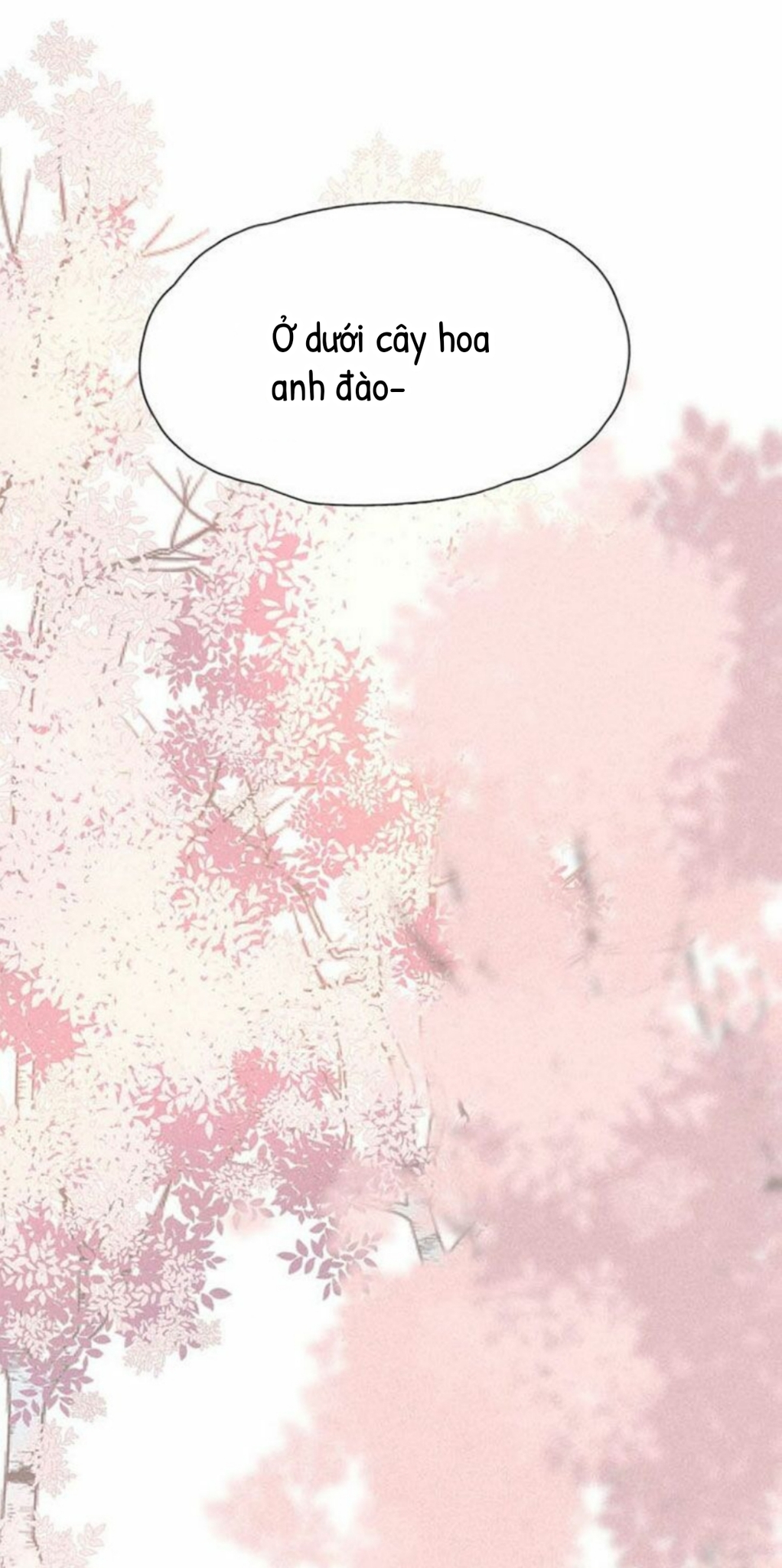 nỗi buồn của hoa cẩm tú cầu chapter 20 14