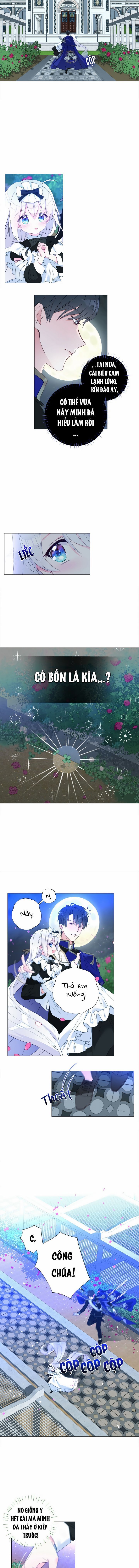 hãy chọn một papa trong số các bạo chúa chapter 6 3