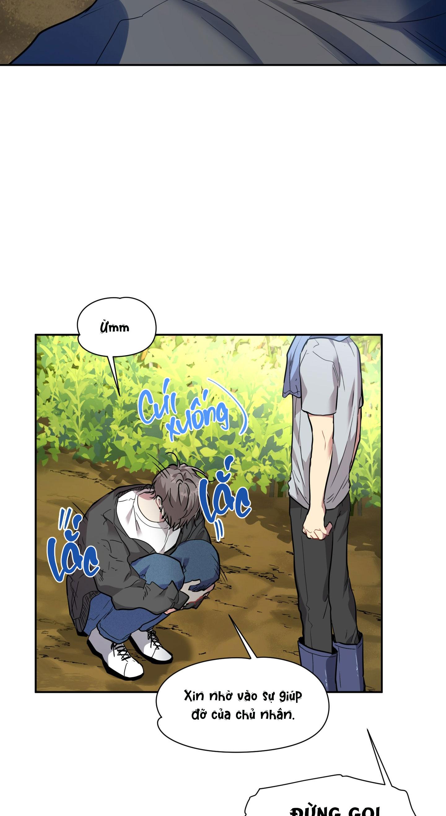 vị khách sau nhà chapter 4 6