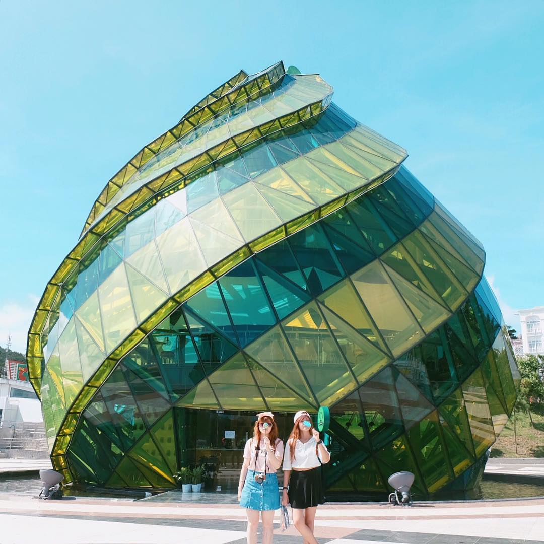 Tour Đà Lạt 3N3Đ: Vườn Hoa Cẩm Tú Cầu - Trại Cún Puppy - Đường Hầm Đất Sét - Que Garden, Khởi Hành Tối Thứ 5 Hàng Tuần