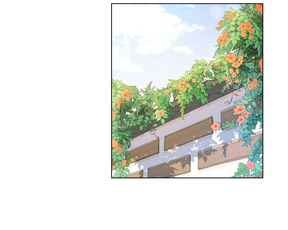 đăng tiêu hoa chapter 3 19