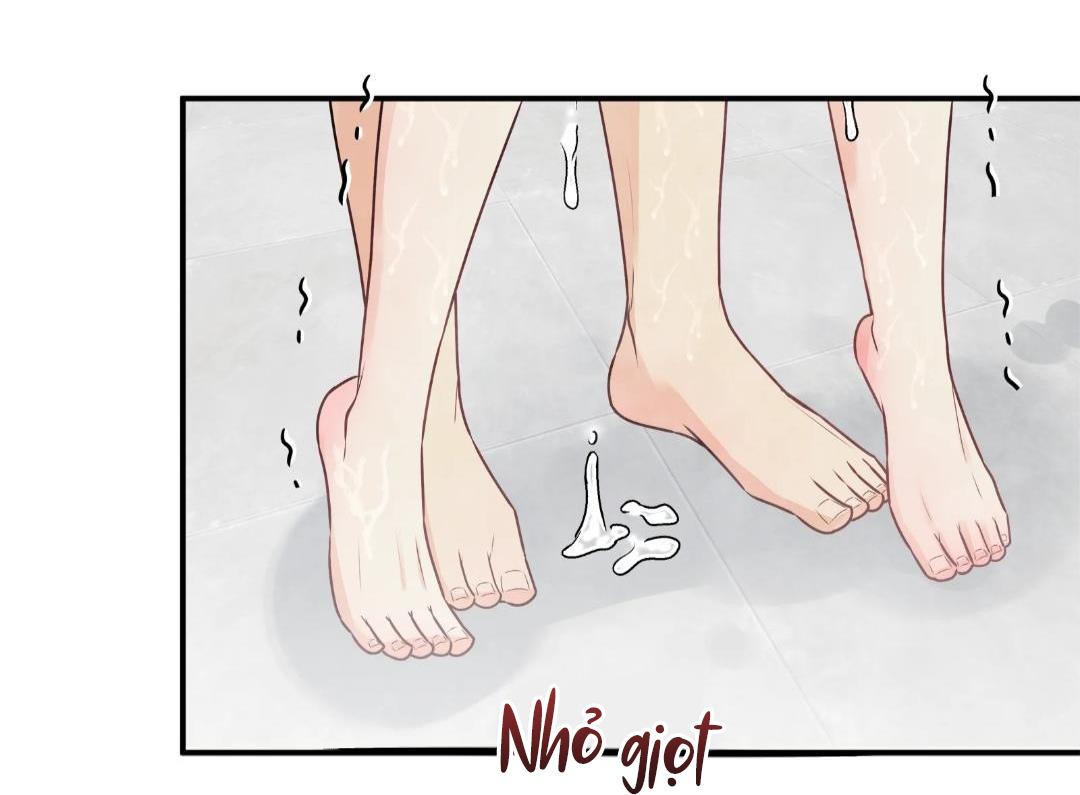 hạnh phúc trọn vẹn chapter 24 28