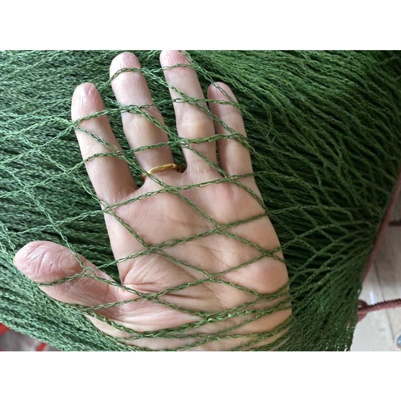 Lứoi cước làm giàn leo, lưới giàn leo,lứoi cước rào gà, lưới trồng cây màu xanh