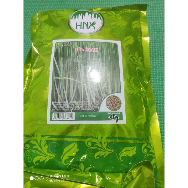 1kg hạt giống rau mầm đậu hà lan/đỏ/xanh/đen/nành, rau muống, củ cải trắng, củ cải đỏ, cải chip, cải ngọt,hướng dương