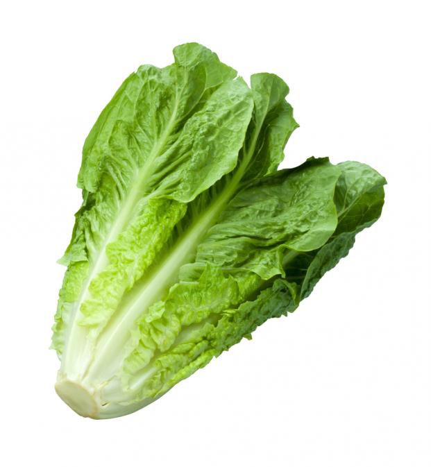 Combo 2 Hạt Giống Xà Lách Romaine