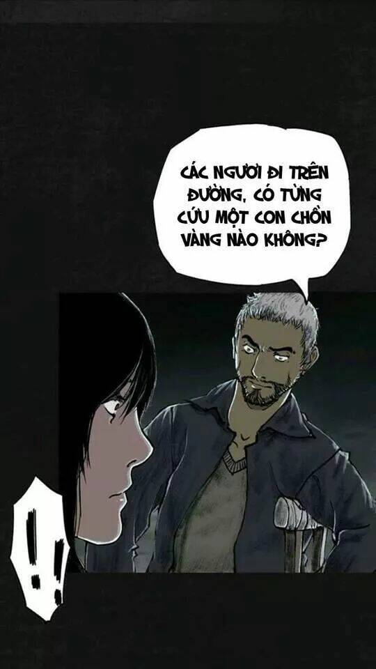 trấn thái bình chapter 20 23