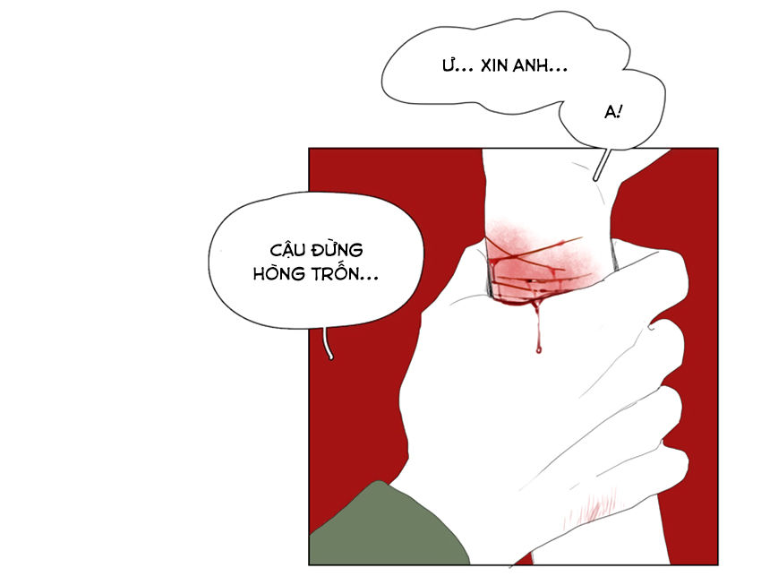 thú cưng của tôi là dơi chapter 38 18