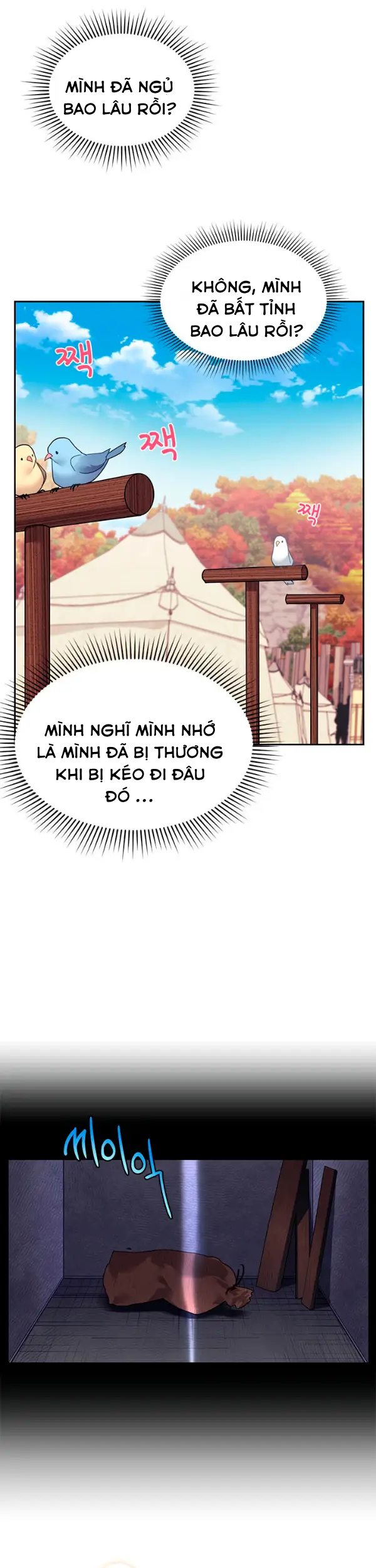 công chúa chim ưng cavier chapter 1.2 4