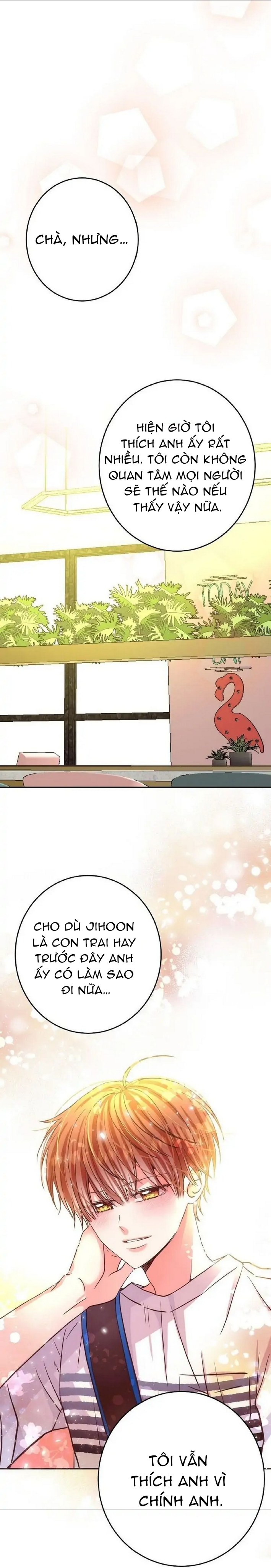 mối quan hệ phù hợp chapter 19 32