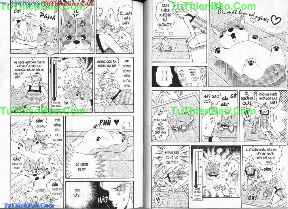 chó con mo mo chapter 6 24