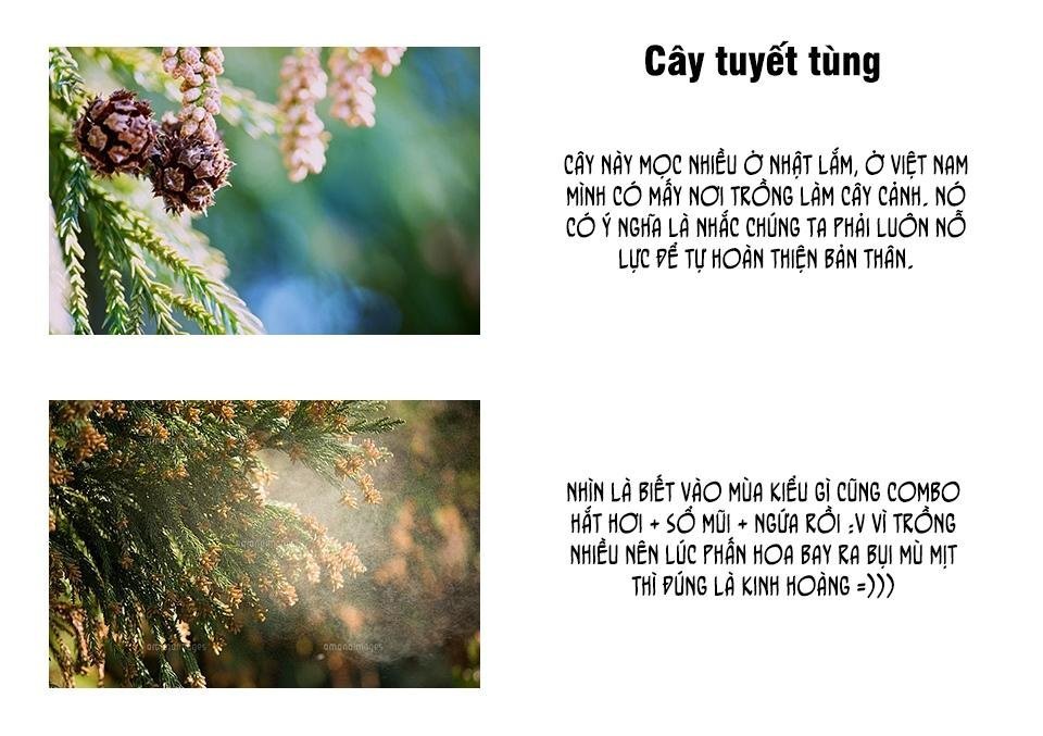 hataraku saibou! chapter 2 45