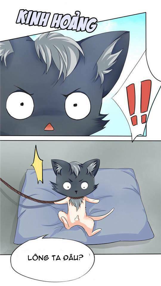 đạo sĩ cưới ta đi! chapter 2 9