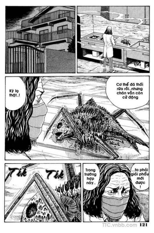 quái vật biển chapter 6 14