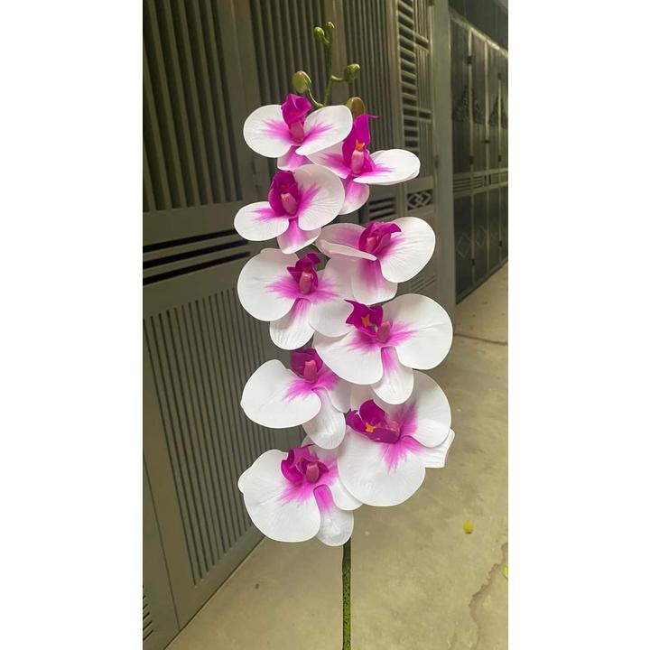 Hoa lan hồ điệp chất liệu cao su loại 7 bông- 9 bông cao cấp- Hoa giả