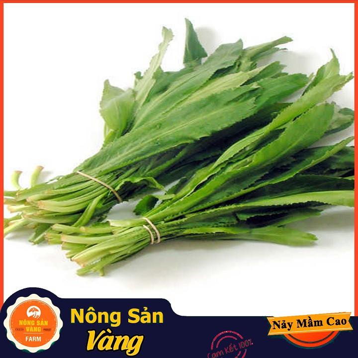Hạt giống Rau Mùi Tàu , Ngò Gai ( Gói 5 Gram ) - Nông Sản Vàng