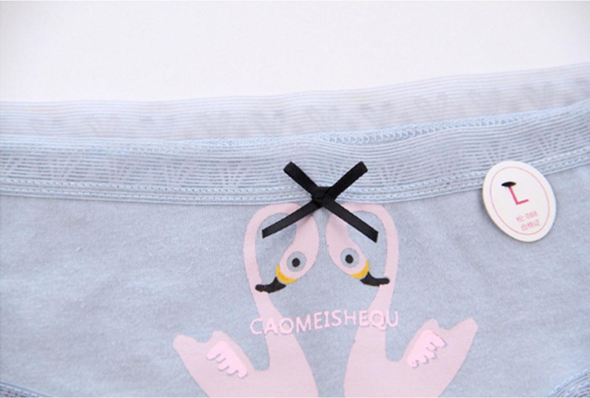 Combo 5 quần lót nữ mềm mại, chất mát thoáng khí hình thiên nga trắng tím