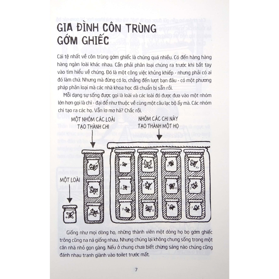 Côn Trùng Gớm Ghiếc (Tái Bản)