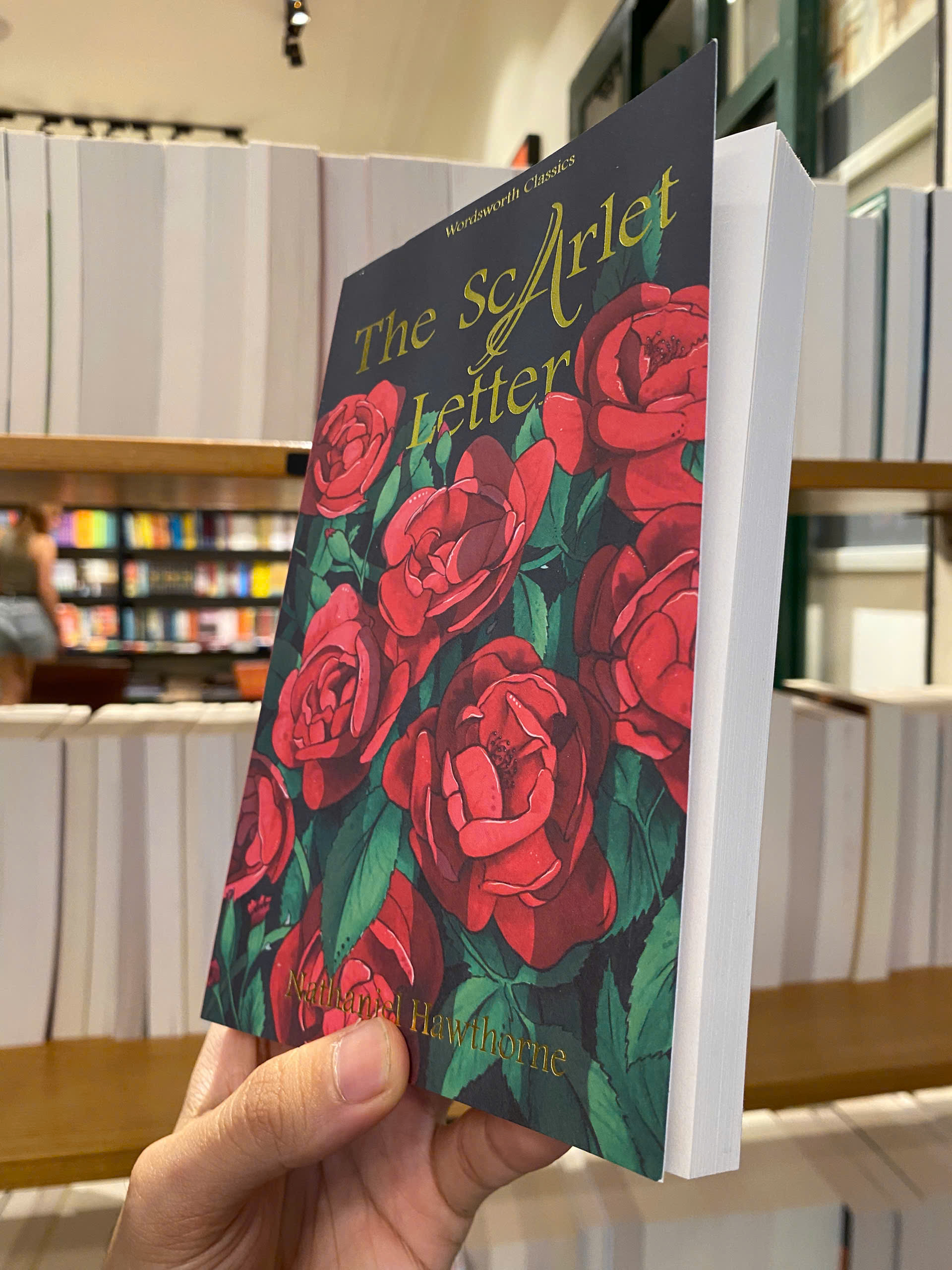 Sách - The Scarlet Letter (Wordsworth Classics) by Nathaniel Hawthorne | English Fiction Book