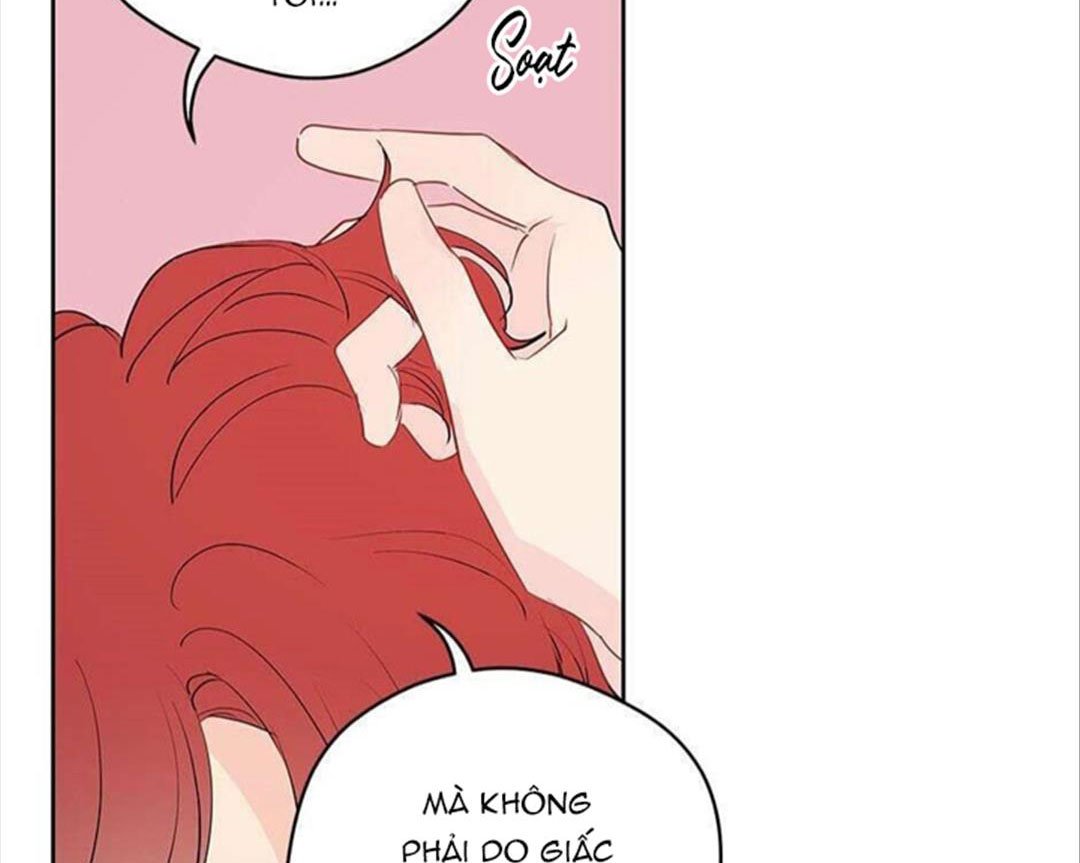 chuyện quái gì với giấc mơ đó vậy chapter 29 107