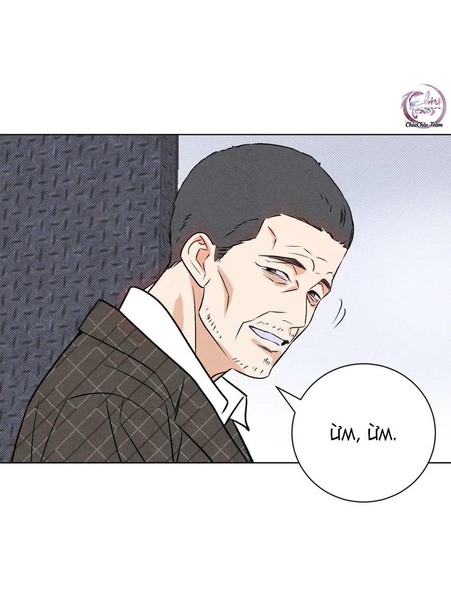 anh trai rẻ tiền của tôi chapter 61 46