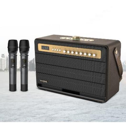 Loa Karaoke Bluetooth công suất lớn 120W 2 mic không dây Wking - Hàng chính hãng