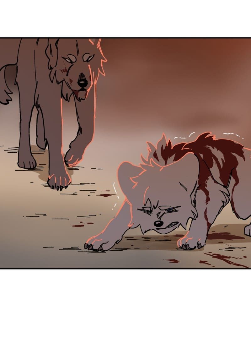 lumine - cội nguồn ánh sáng chapter 110 25