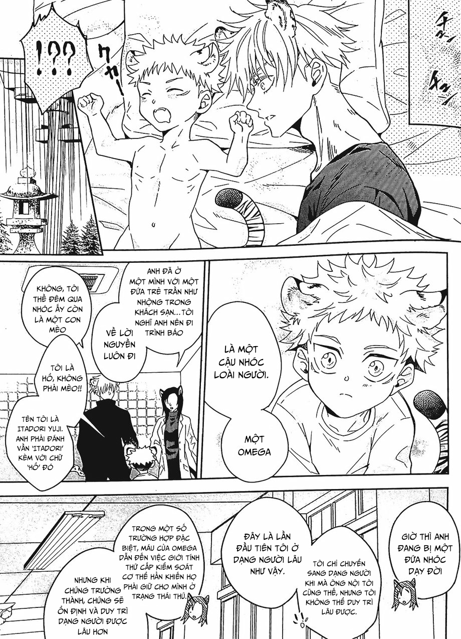 Jujutsu Kaisen Omegaverse cat chapter 1