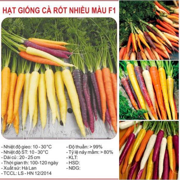 Hạt giống cà rốt mix màu f1-1 gói 100 hạt-tặng kèm gói phân bón lót