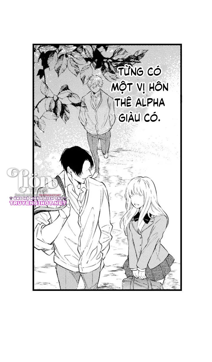 [18+]anh alpha kia! ly hôn đi chapter 6.2 10
