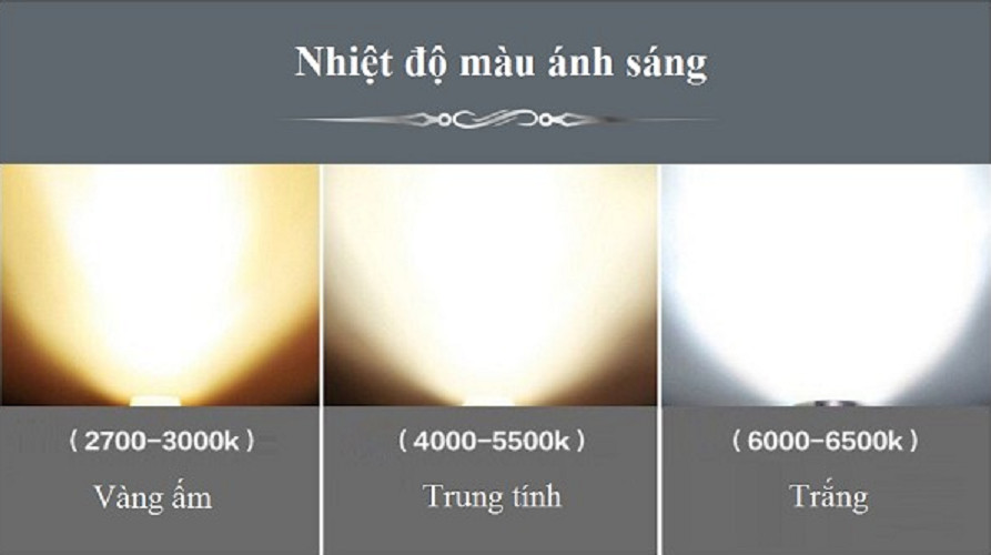 Combo 5 đèn Led rọi ray 20w