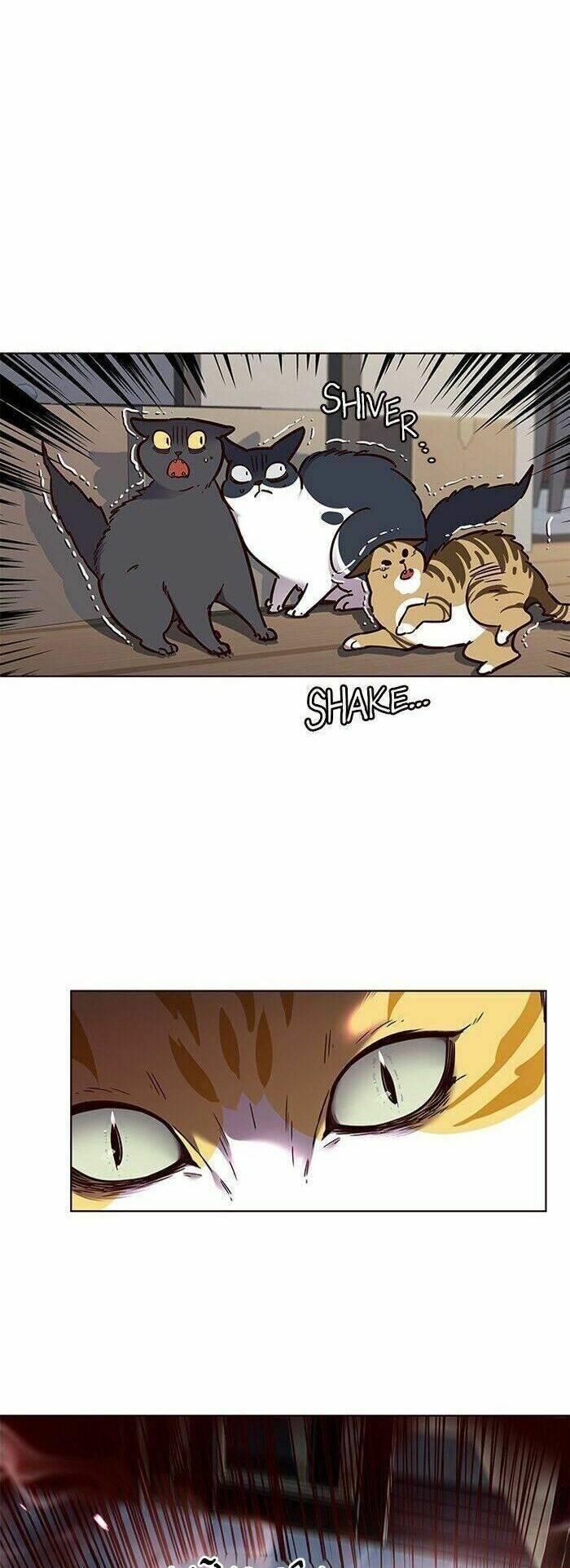 biến thân thành mèo chapter 58 8