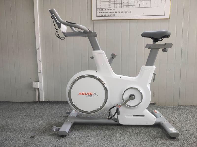 Xe Đạp Tập Thể Dục Tập Gym AGS-211 Nhập Khẩu Cao Cấp Không Có Tiếng Ồn + Kèm Máy Rung Massage