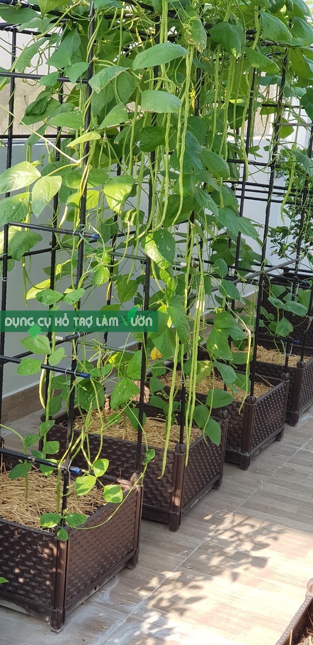 Chậu ghép Nhật đáy 42*51cm cao 29cm chuyên trồng cây trồng rau ăn lá - màu nâu