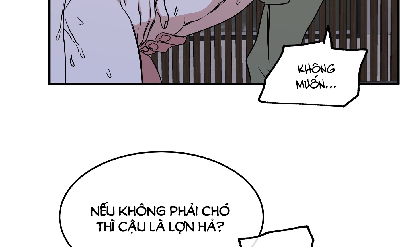 đêm bên bờ biển chapter 67.2 59