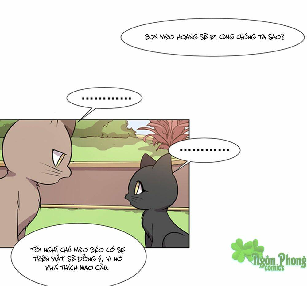 hai chú mèo totem chapter 39 55