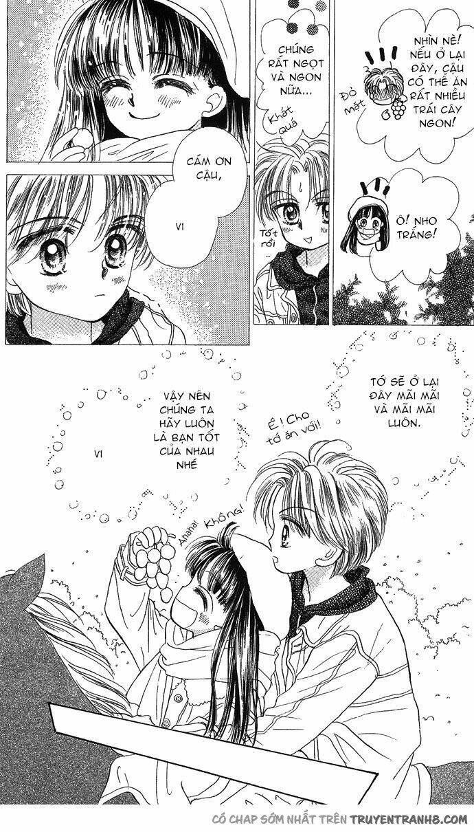 milk to vitamin chapter 6 16