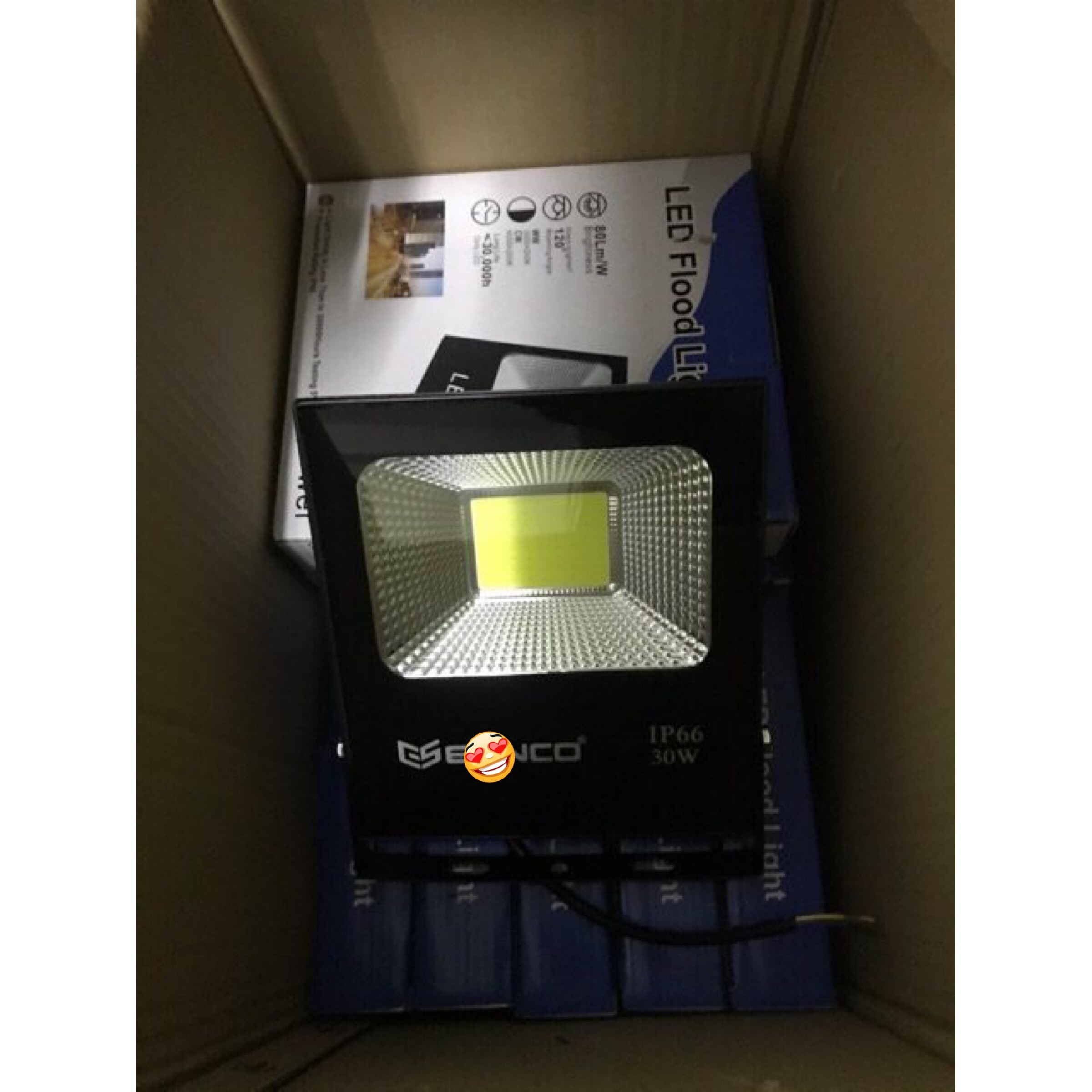 Đèn pha led 30W as trắng chuyên công trình bảng hiệu, trang trí sân vườn chống nước IP66