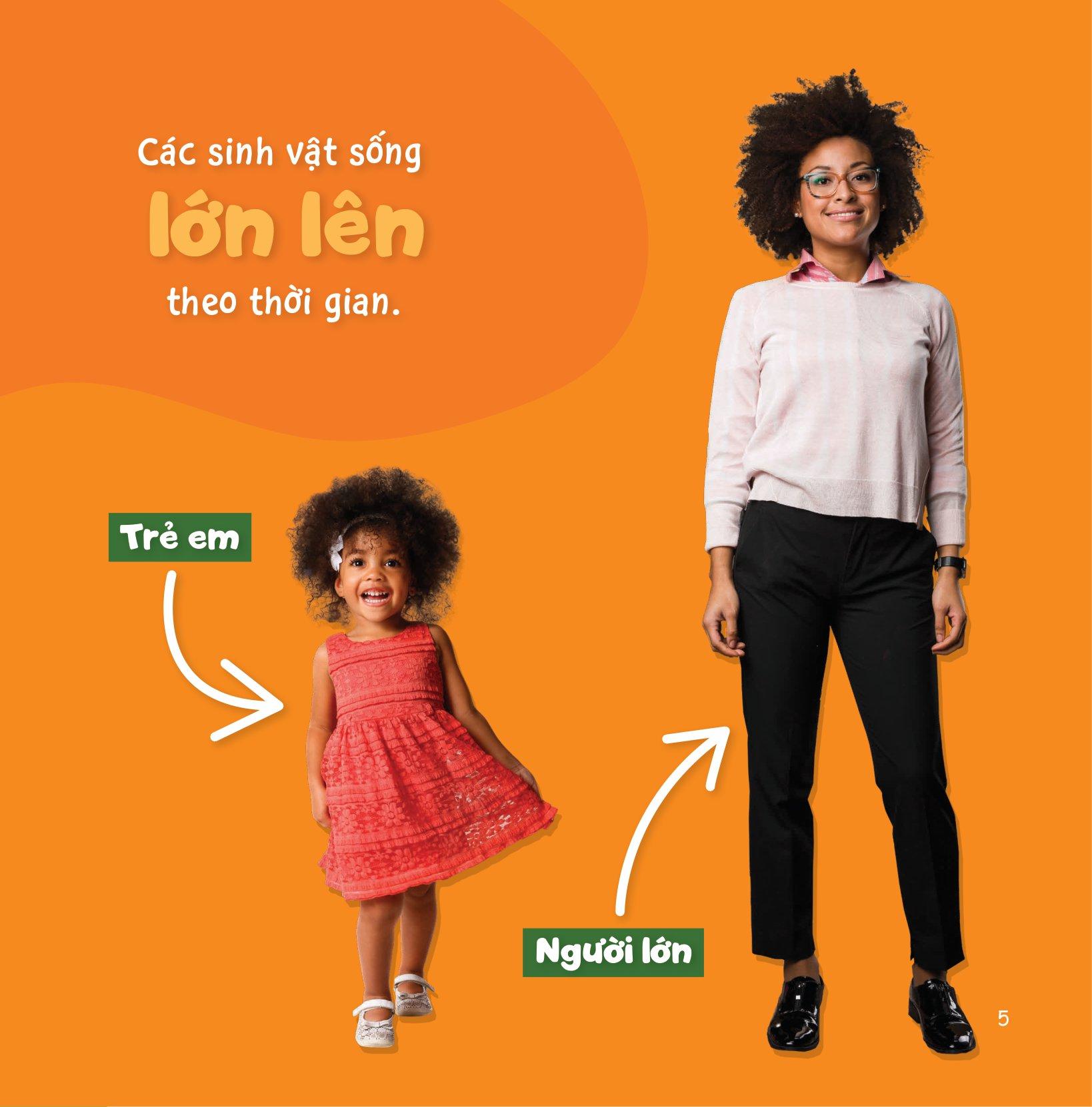 Sự Sinh Trưởng Kỳ Diệu Của Vạn Vật - Vòng Đời Của Gà