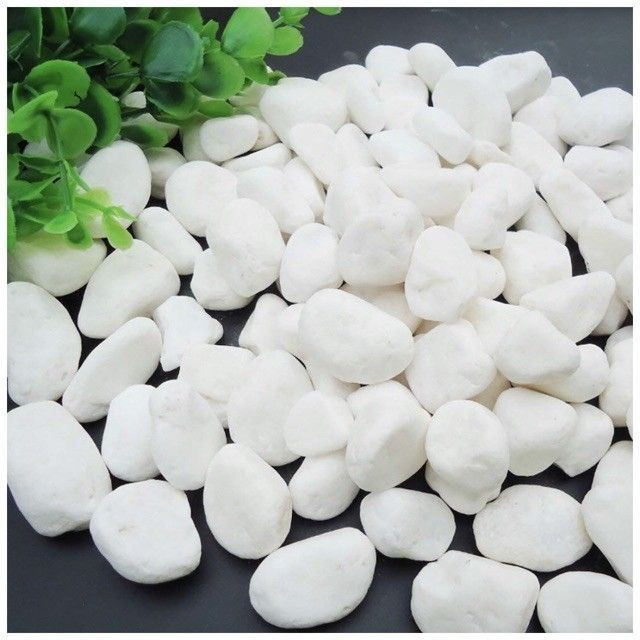 (1 Kg) Sỏi Trắng Cao Cấp Dùng Trải Nền Trang Trí Chậu Cây, Sân Vườn, Bể Cá, Tiểu Cảnh Terrarium