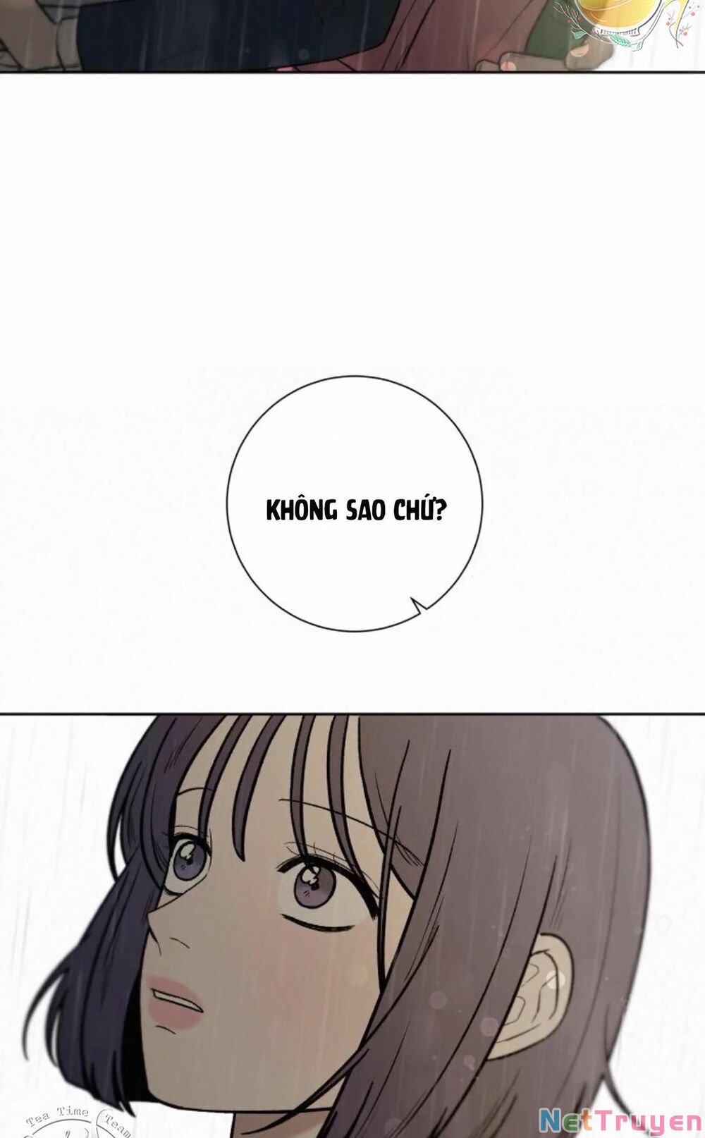 chiến lược: tình yêu trong sáng chapter 14 8