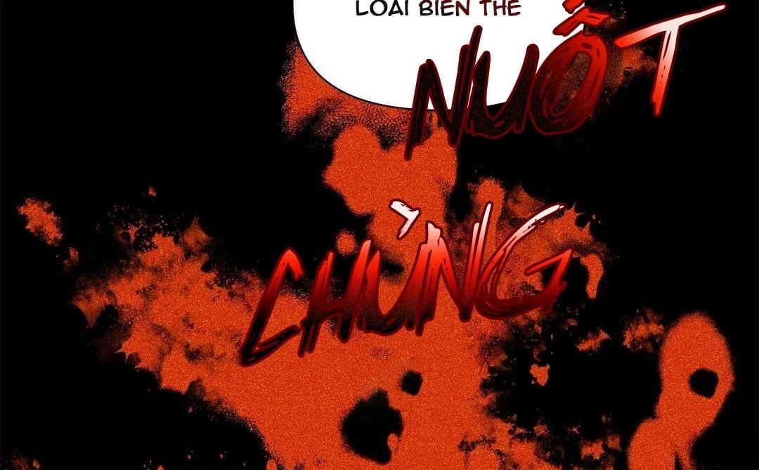 guide cấp b chapter 26 23